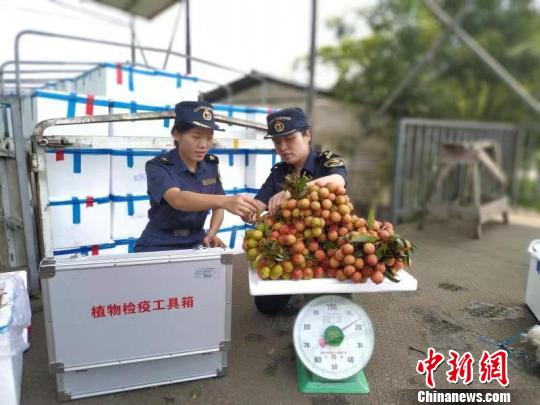中越边境云南省河口口岸1 8月进出口农副产品63.05亿元