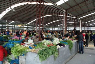 上海最大规模农产品交易市场明年运行 图
